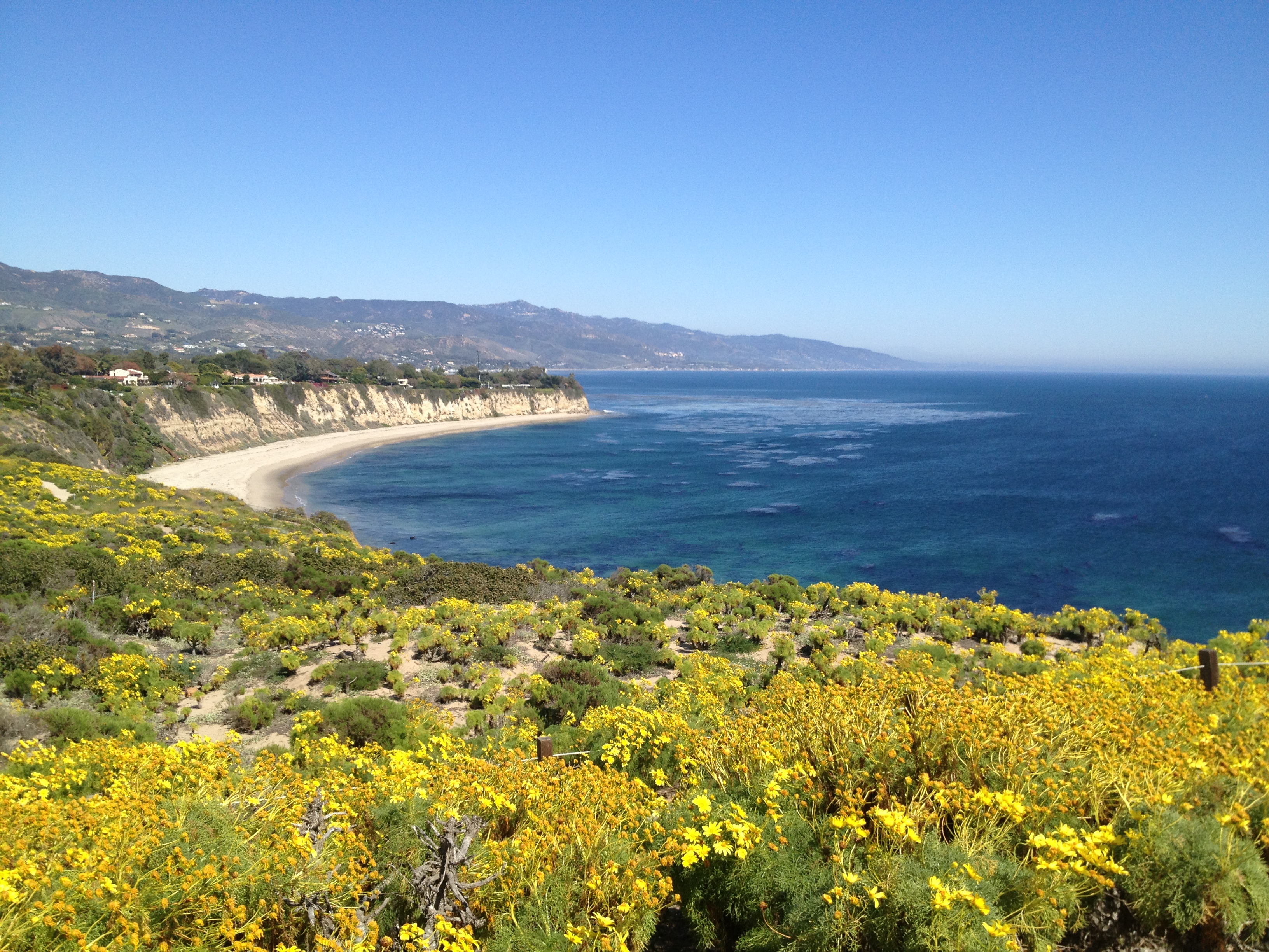 Malibu Real Estate Forecast With Ellen Francisco Haven Lifestyles