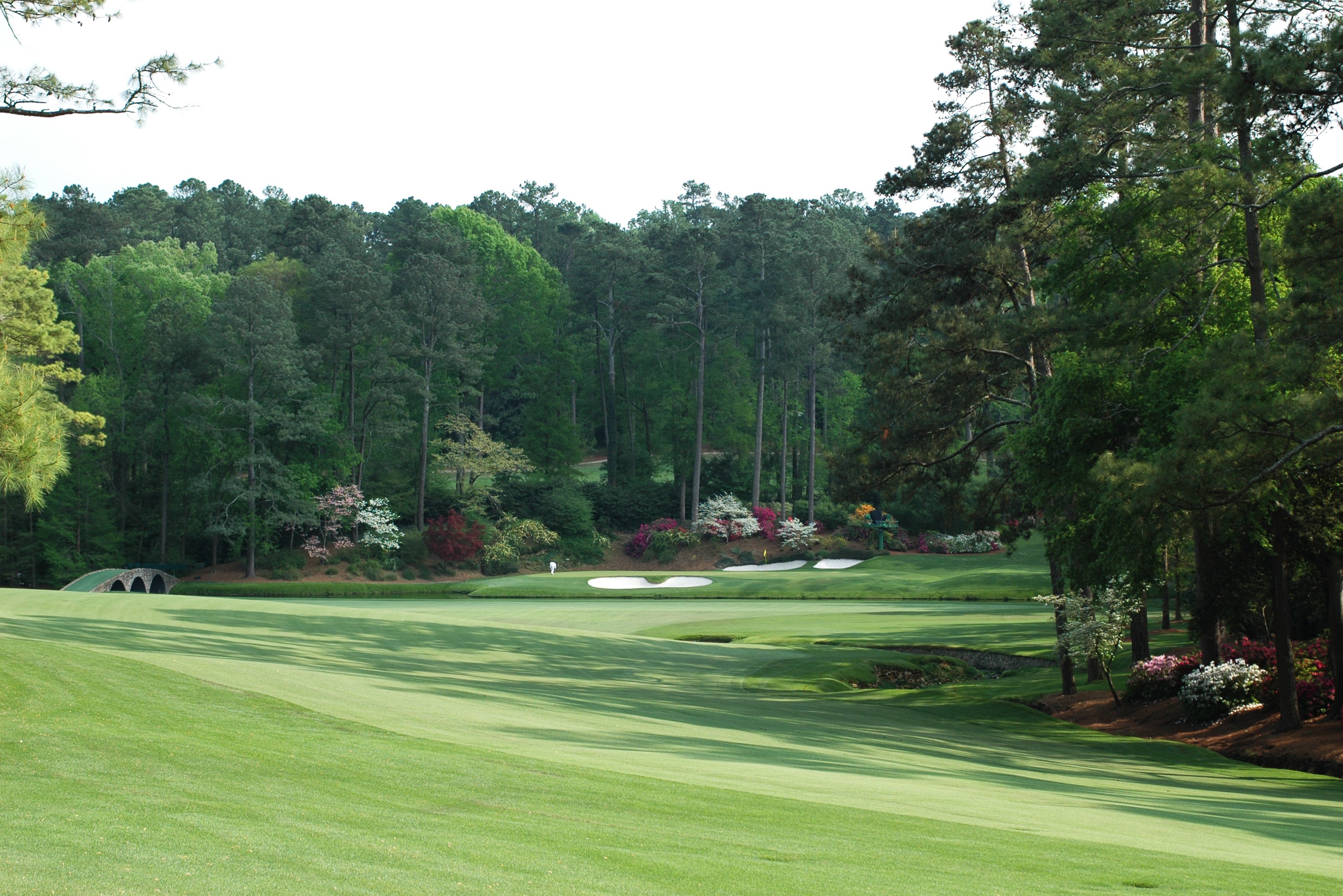 A Look at the Top Golf Courses in Haven Lifestyles