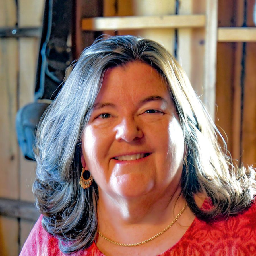 12 Rustic Homes in Colorado That Will Steal Your Heart Haven Lifestyles