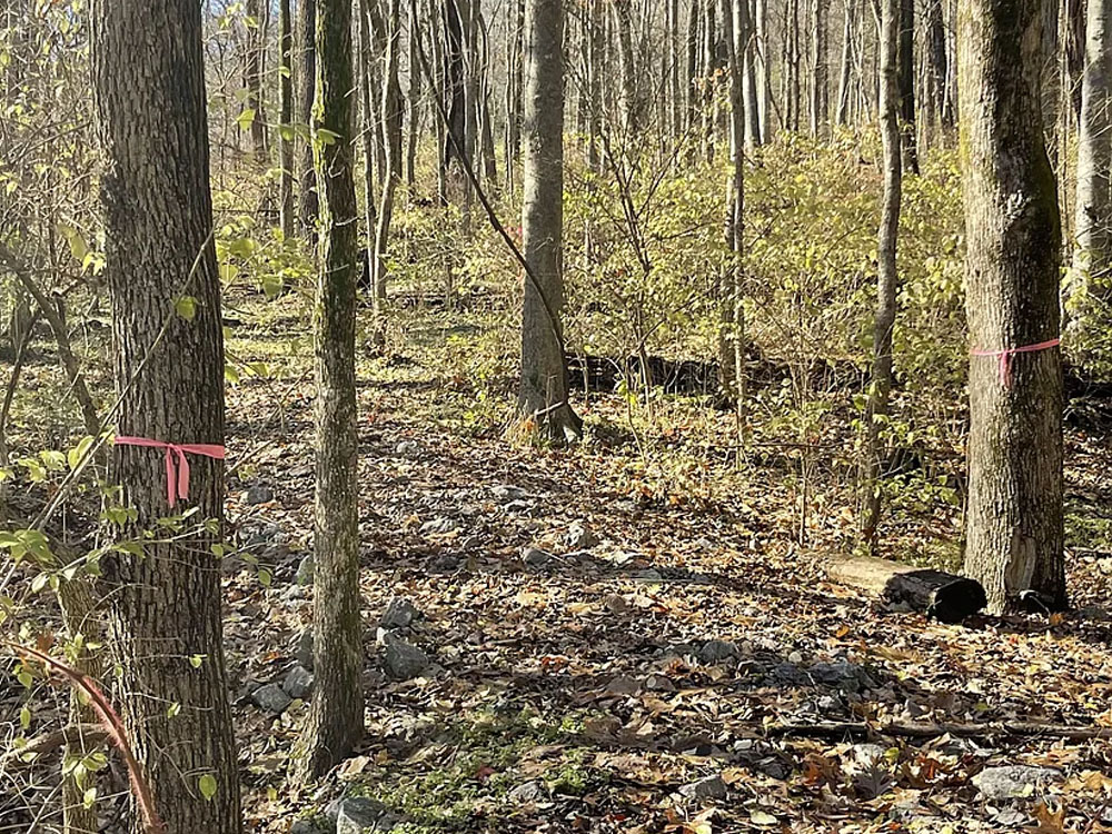 10 Recently Sold Stunning Tennessee Homes Haven Lifestyles