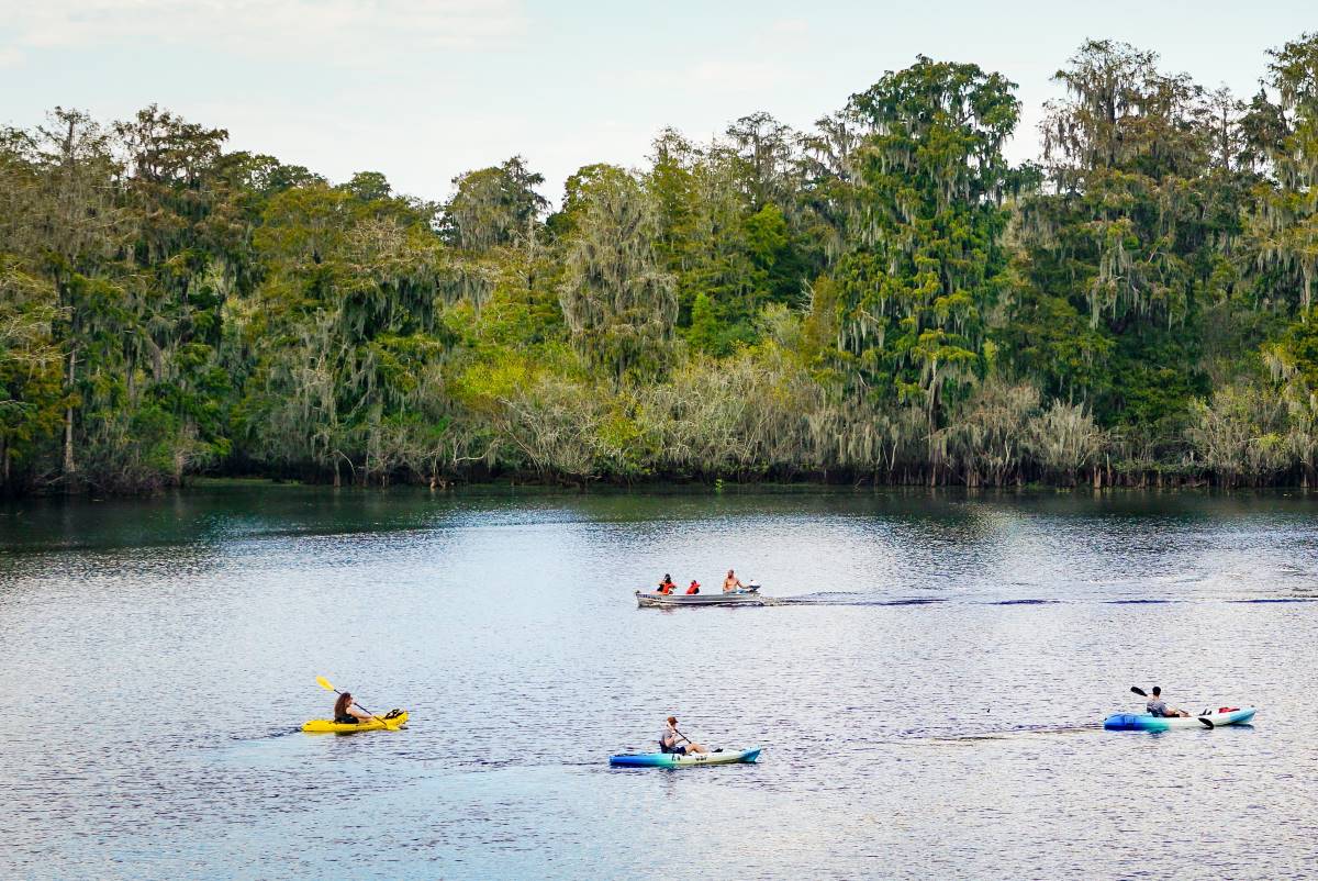 Top Outdoor Destinations to Explore Around the Tampa Bay Area Haven