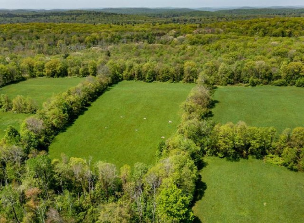 3 Acreage Properties Available in Connecticut & Maine Haven Lifestyles