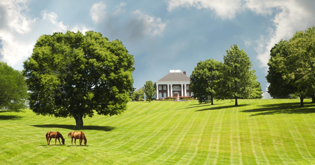 Luxury Equestrian Homes: What They Are and Why Buyers Seek Them Out ... - Private Luxury Off Grid Equestrian Mansions