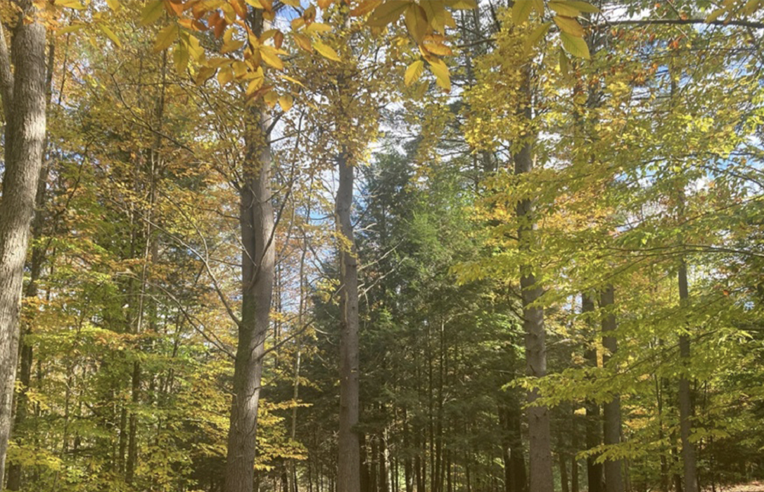 7 Amazing Land Opportunities for Sale in New York Haven Lifestyles