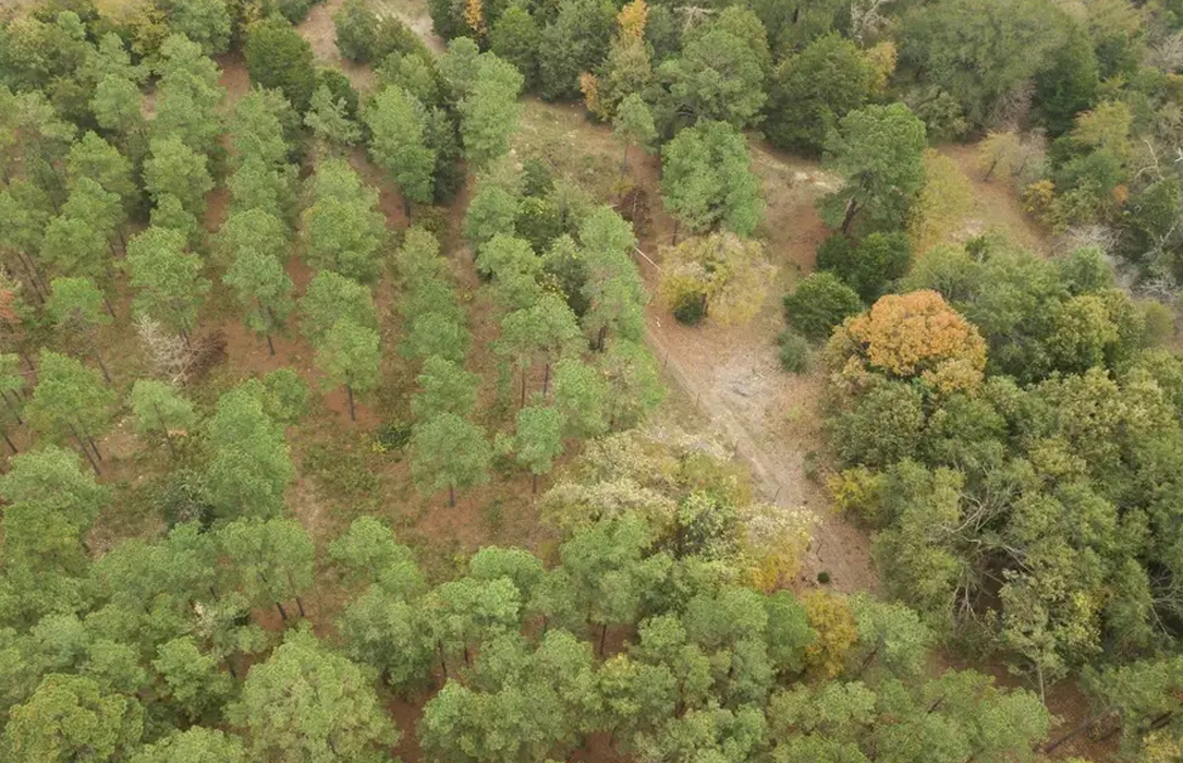 10 Exquisite Properties in Texas for Sale Haven Lifestyles