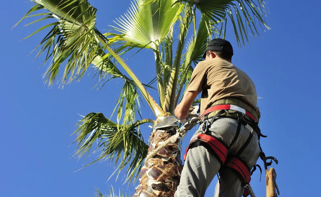 Mother Earth Tree Service