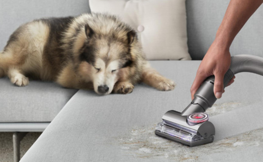 Dyson Pet Vacuum Cleaners