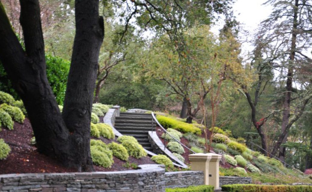 JG Universal Landscape Inc