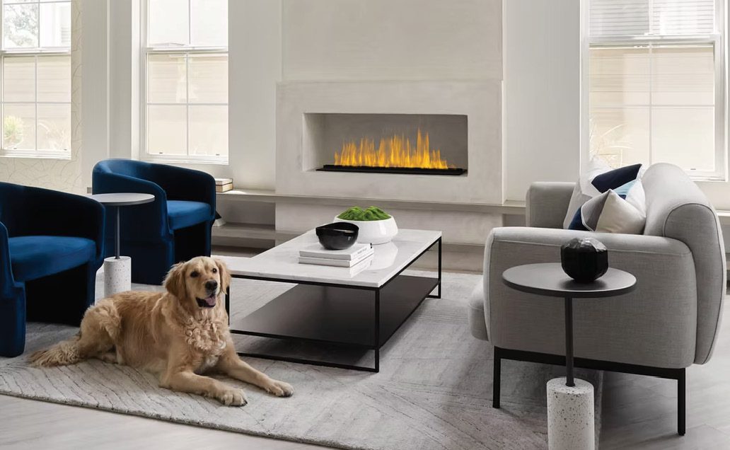 Chlo Interiors