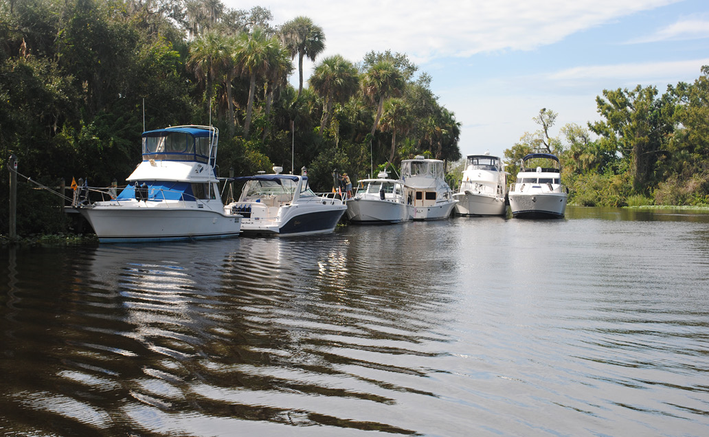 Cape Coral Cruise Club